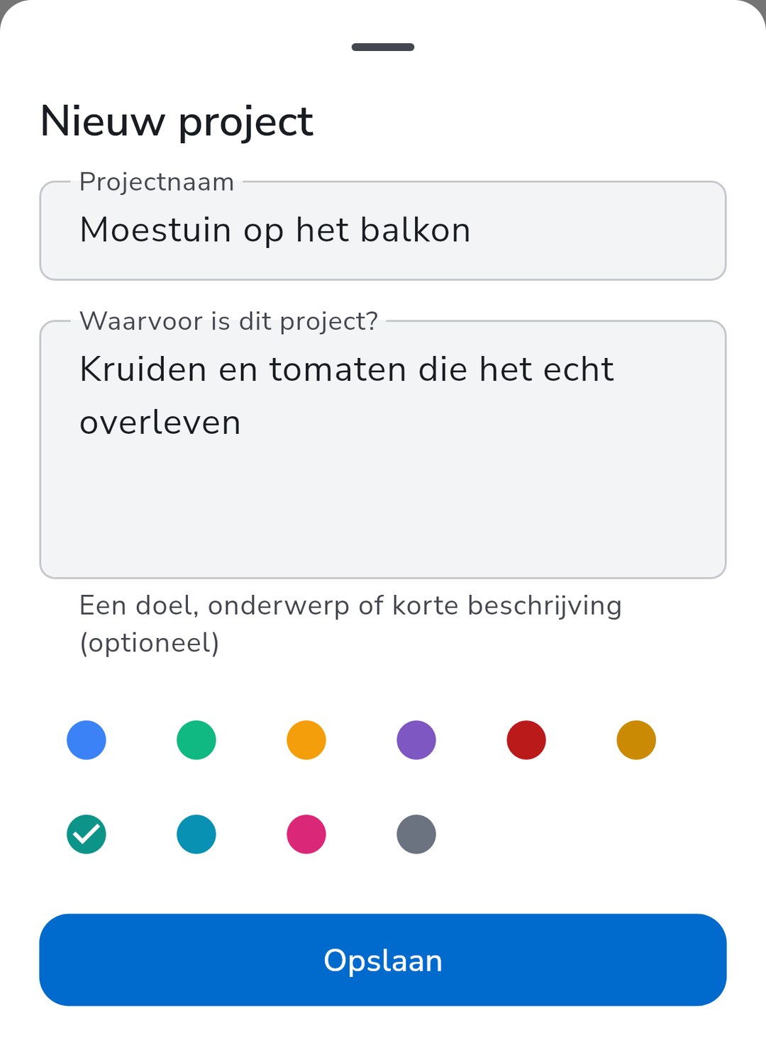 Een nieuw project maken in Recordo met een naam, een korte omschrijving waarvoor het is en een kleur
